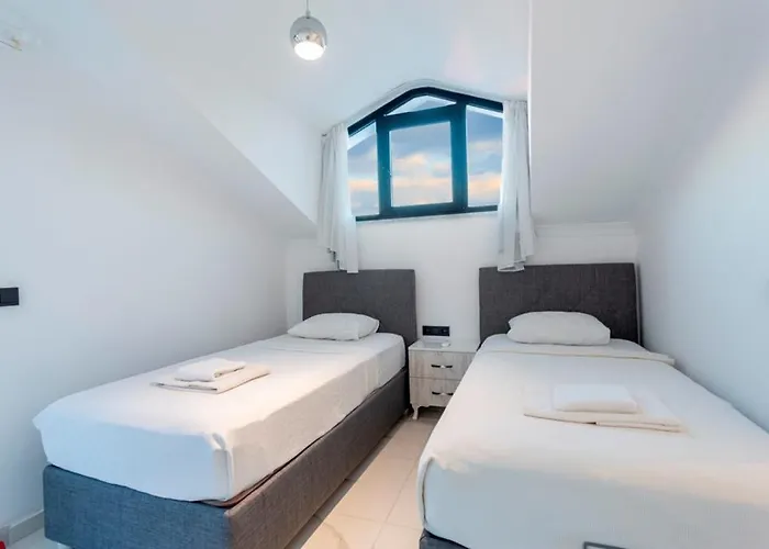 Sherbella 费特希耶